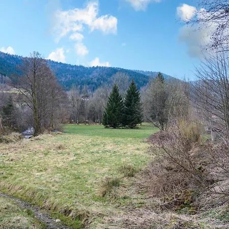 Apartment Appt 6 Pers - Rez De Jardin La Bresse