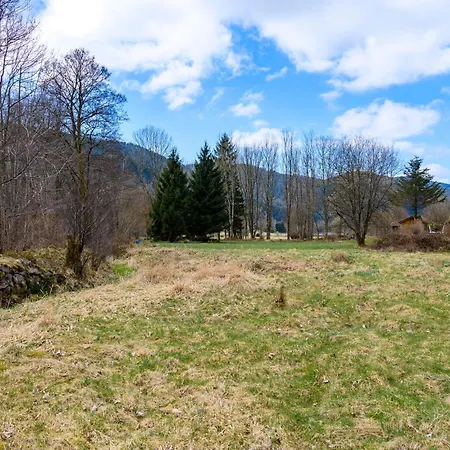 Appt 6 Pers - Rez De Jardin Apartment La Bresse